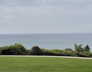 34812 Camino Capistrano - Photo Thumbnail 12