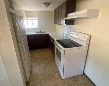 20569 Powder Horn - Photo Thumbnail 14