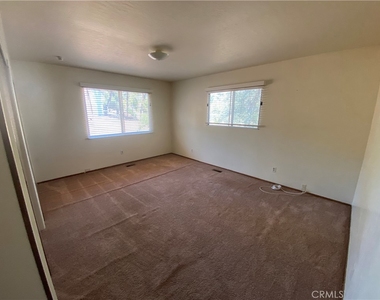20569 Powder Horn - Photo Thumbnail 10