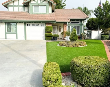 39090 Cattail - Photo Thumbnail 1