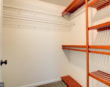 23099 Sunbury Street - Photo Thumbnail 19
