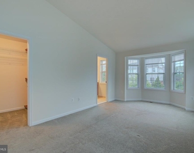 23099 Sunbury Street - Photo Thumbnail 16