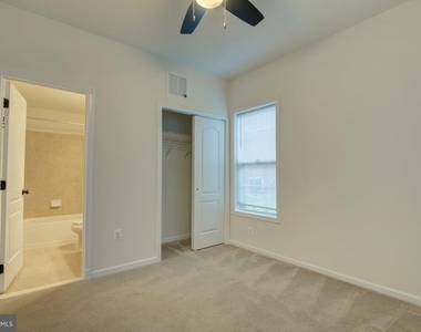 23099 Sunbury Street - Photo Thumbnail 24