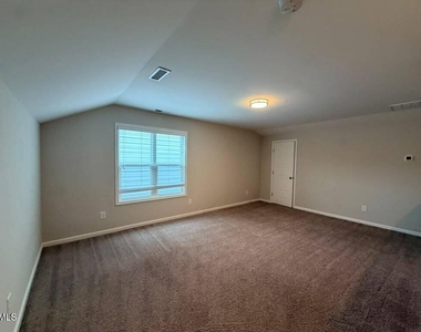 1244 Brown Velvet Lane - Photo Thumbnail 28
