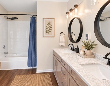 933 W Van Buren Street - Photo Thumbnail 12