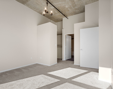 933 W Van Buren Street - Photo Thumbnail 10