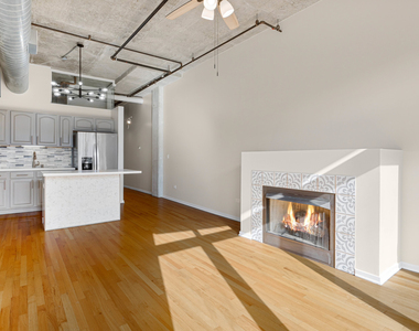 933 W Van Buren Street - Photo Thumbnail 4