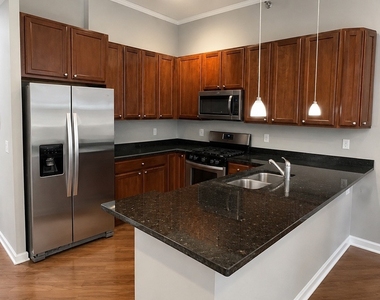 1819 S Michigan Avenue - Photo Thumbnail 5