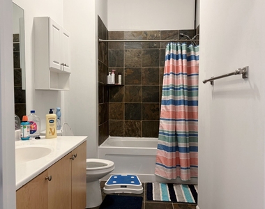 1464 S Michigan Avenue - Photo Thumbnail 4