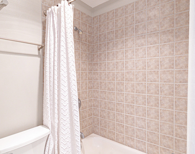 260 E Chestnut Street - Photo Thumbnail 8