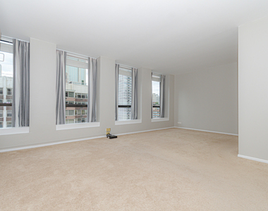 260 E Chestnut Street - Photo Thumbnail 2