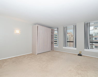 260 E Chestnut Street - Photo Thumbnail 5