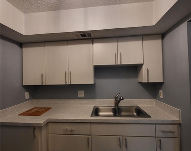 305 Trinidad Drive - Photo Thumbnail 10
