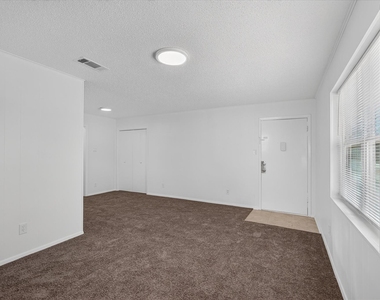 1805 Randolph Drive - Photo Thumbnail 12