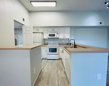 161 Sw Palm Drive - Photo Thumbnail 20