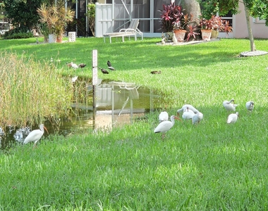 7299 Lugano Drive - Photo Thumbnail 28