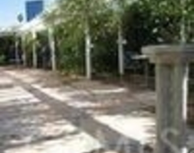 10662 Chiquita - Photo Thumbnail 2