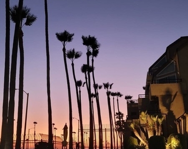 1200 Pacific Coast Hwy 314 - Photo Thumbnail 4