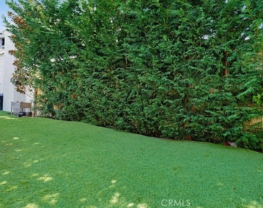 24903 Danamaple - Photo Thumbnail 29