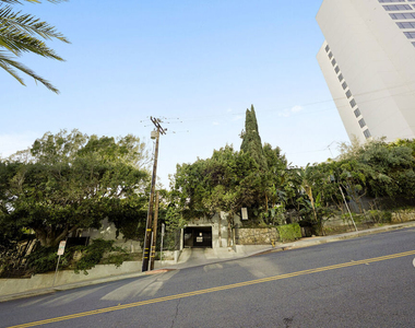 1323 N Olive Drive - Photo Thumbnail 43