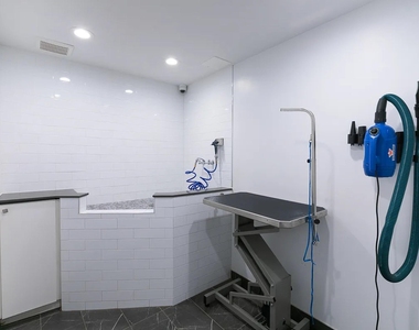 123 Parkside Avenue - Photo Thumbnail 16