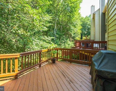 11748 Great Owl Circle - Photo Thumbnail 9