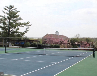 27 Darien - Photo Thumbnail 36