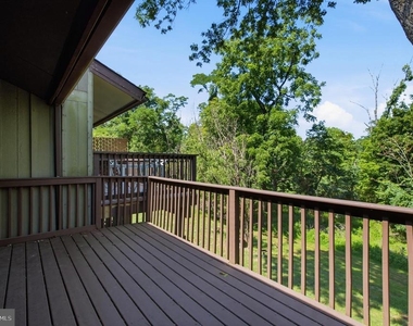 27 Darien - Photo Thumbnail 22