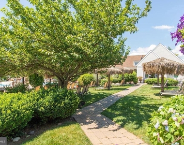 27 Darien - Photo Thumbnail 39