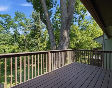 27 Darien - Photo Thumbnail 21