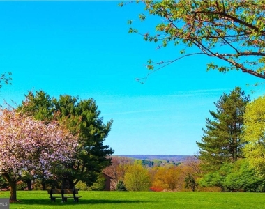 27 Darien - Photo Thumbnail 38
