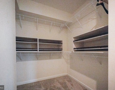 43901 Eucalyptus Way - Photo Thumbnail 14