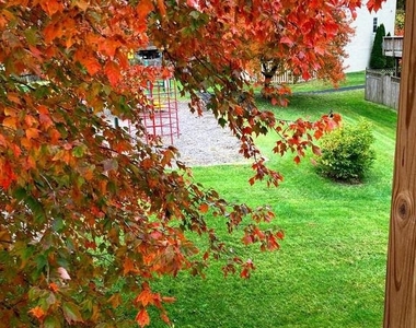 11503 Tuscany Drive - Photo Thumbnail 11