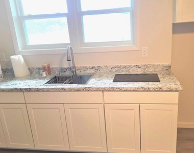 9007 Palmer Street - Photo Thumbnail 14
