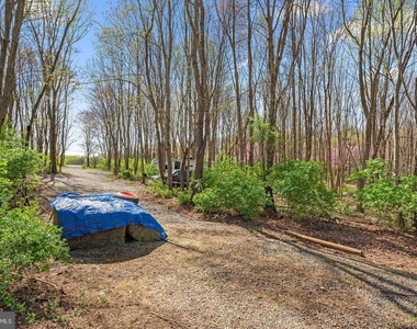 10855 Bethesda Church Road - Photo Thumbnail 77