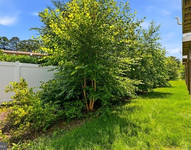 205 Jenkins Way - Photo Thumbnail 37
