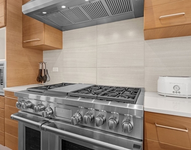 70 E Walton Street - Photo Thumbnail 8