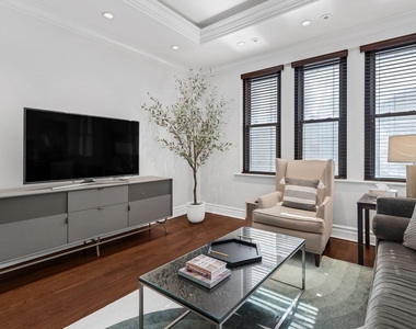 70 E Walton Street - Photo Thumbnail 4