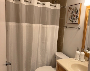 211 E Ohio Street - Photo Thumbnail 6