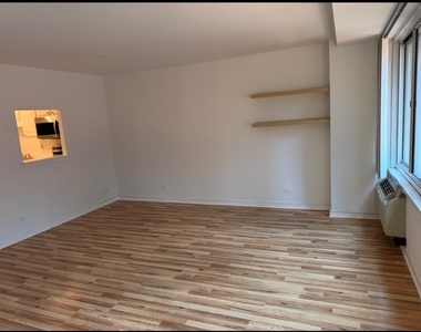 211 E Ohio Street - Photo Thumbnail 8
