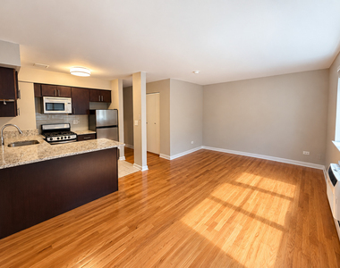 3610 N Pine Grove Avenue - Photo Thumbnail 3