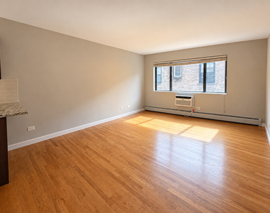 3610 N Pine Grove Avenue - Photo Thumbnail 6