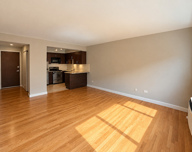 3610 N Pine Grove Avenue - Photo Thumbnail 3