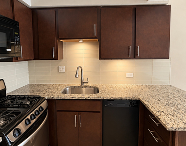 3610 N Pine Grove Avenue - Photo Thumbnail 2