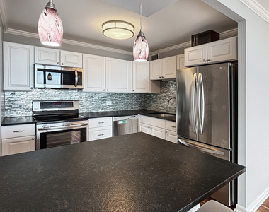 3930 N Pine Grove Avenue - Photo Thumbnail 4