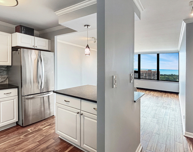 3930 N Pine Grove Avenue - Photo Thumbnail 1
