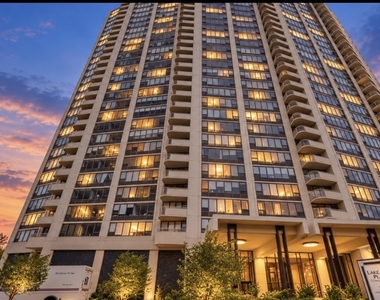 3930 N Pine Grove Avenue - Photo Thumbnail 40