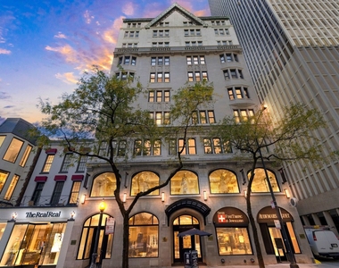70 E Walton Street - Photo Thumbnail 34