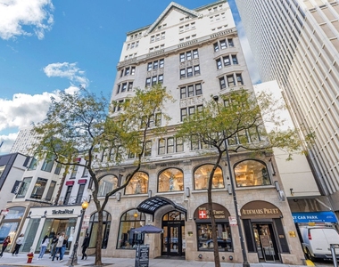 70 E Walton Street - Photo Thumbnail 1