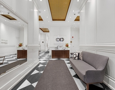 70 E Walton Street - Photo Thumbnail 3